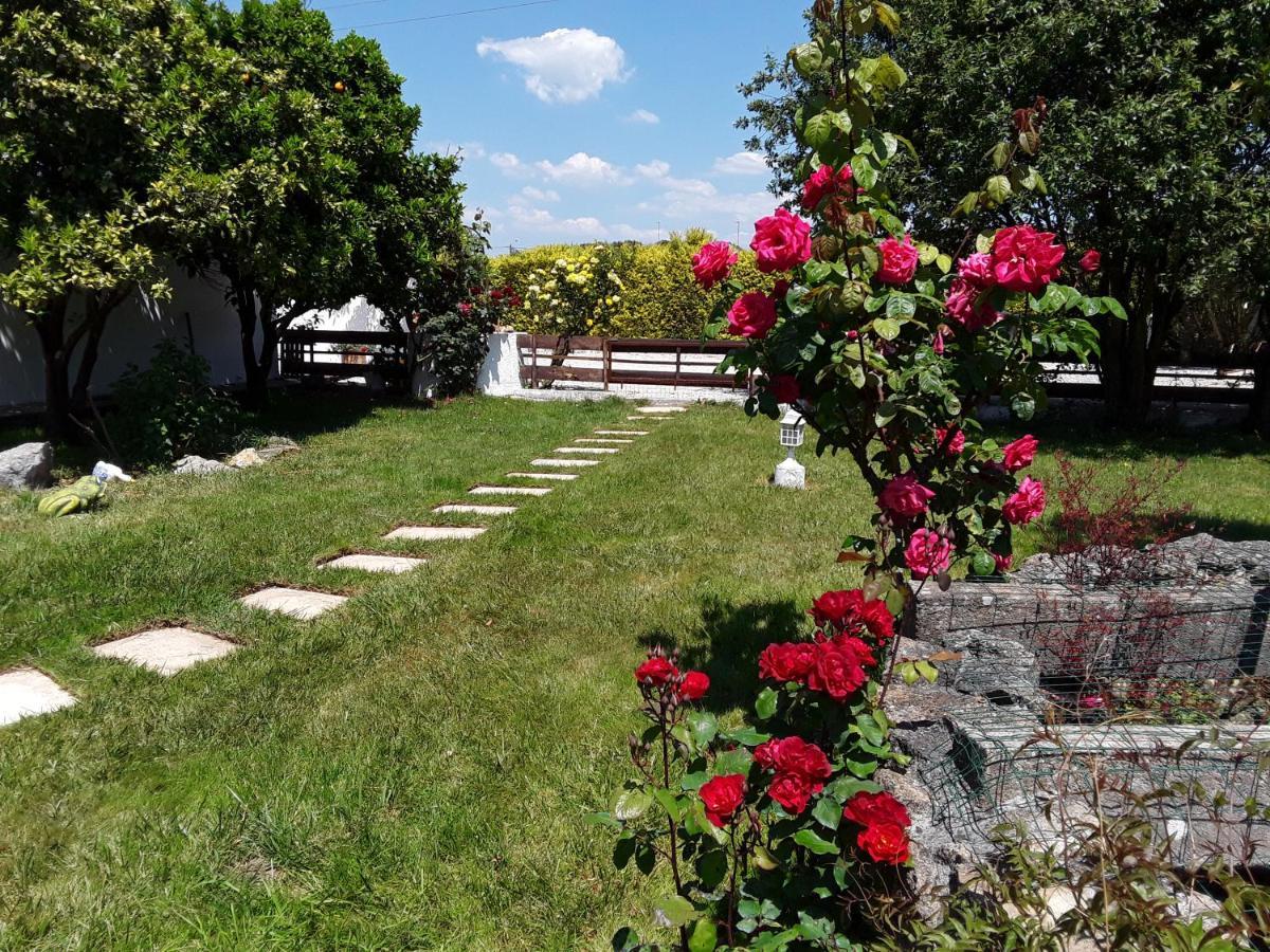 Bed and Breakfast Quinta Camargue Cela Velha Экстерьер фото