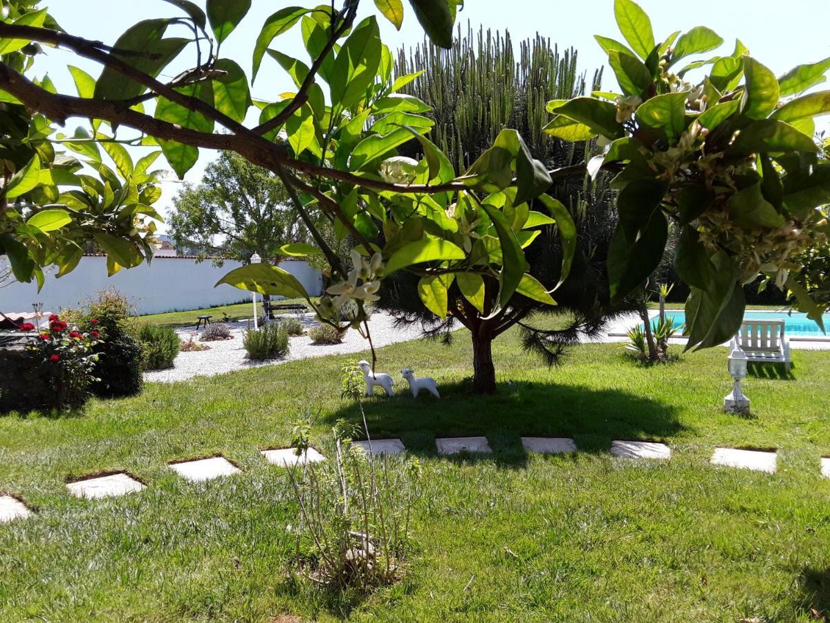 Bed and Breakfast Quinta Camargue Cela Velha Экстерьер фото